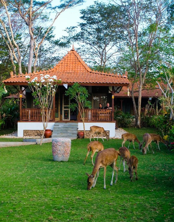 Plataran Menjangan Resort And Spa - Chse Certified Banyuwedang Rum bild